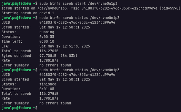 Running `btrfs scrub start` and `btrfs scrub scan` on my Linux filesystem