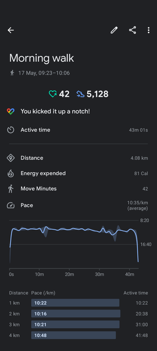 App screenshot from Google Fit showing a morning walk