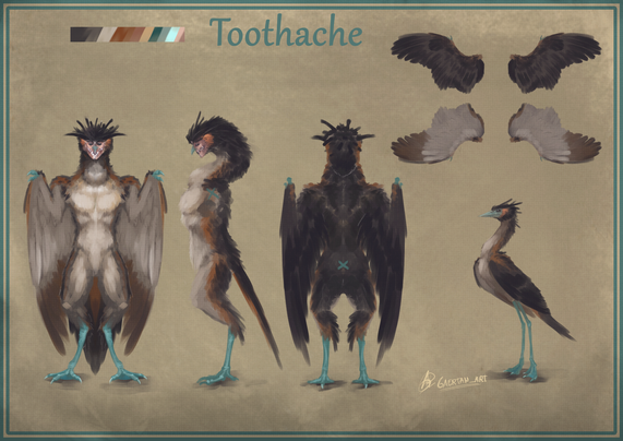 A digital illustration, in refsheet format, of a harpy( a humanoid , bird-like person).The illustration showcases the front,side, and back of the creature, as well as the inner and outer wings on the top right corner. On the bottom corner a bird version of it can be seen. The harpy and bird seems to be a mixture of a Great Crested Grebe  ,  Blue Footed Booby bird and a secretary bird. The humanoid form's wings has visible finger-talons, a beak for a nose, pitch-black eyes, and a y-shaped mouth hole, full of sharp teeth. 