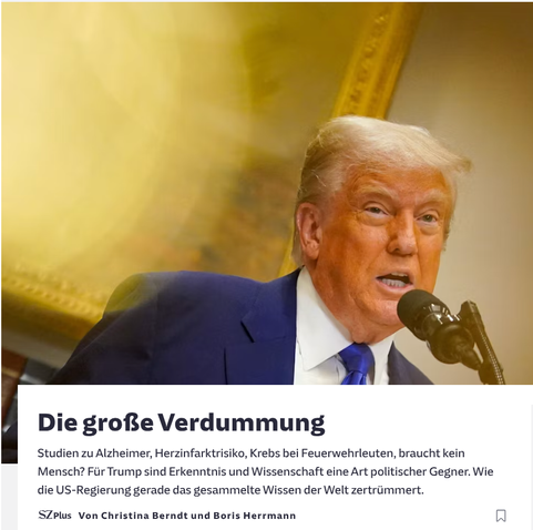 Die grosse Verdummung