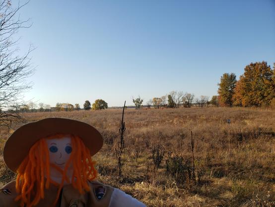 Ranger Sarah looks out at a section of tallgrass prairie. Tallgrass prairie has been reduced by 99% nationally.
— at Marais des Cygnes National Wildlife Refuge.
