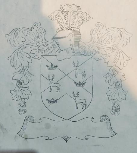 a pencil  drawing of a crest, in the center is a shield, pointed at the bottom, on the sides are floral designs, resting on the shield is a knight helmet facing left, there are 3 feathers coming from the top of the helmet, in the shield is an 'x' design wih 3 stags and 3 crowns, a banner scroll under the shield for the name of the family , it is blank, no name on it yet 