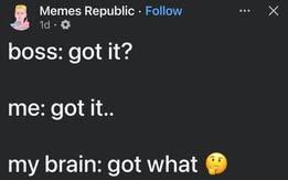 memes republic
boss: got it? 
me: got it.. 
my brain: got what