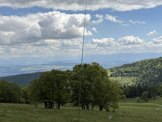 EFHW Antenna