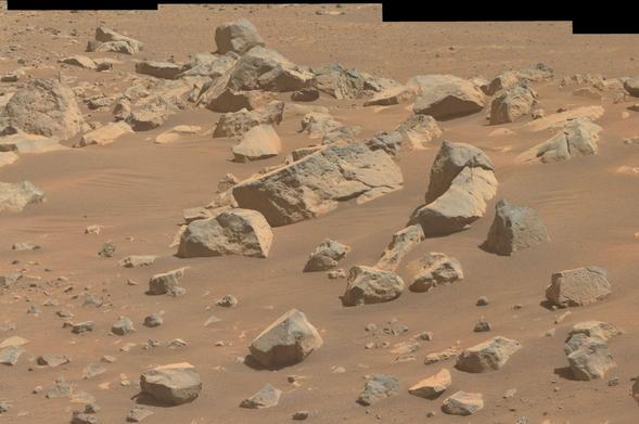 Martian rocks in the sand.