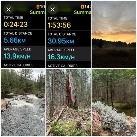 Grid of six images: two watchOS screenshots and four photos:

1) Apple Fitness Cycling Details:
Total Time: 0:24:23
Total Distance: 5.66 KM
Average Speed: 13.9 KM/H

2) Apple Fitness Cycling Details:
Total Time: 1:53:56.
Total Distance: 30.95 KM
Average Speed: 16.3 KM/H

3) Predawn sky over a field with yellows, oranges, and grey in the clouds.

4) Provoking Falls in a pine forest.

5) a old tree stump, with some moss.

6) Closeup of some lichen on a log in a pine forest.