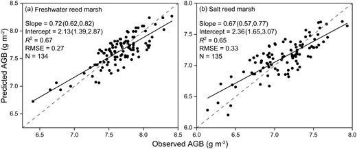 Scatter plots for of predicted and observed values of AGB based on logarithmic transformed allometric model with plant height (H) alone as predictor variable for reed marsh.