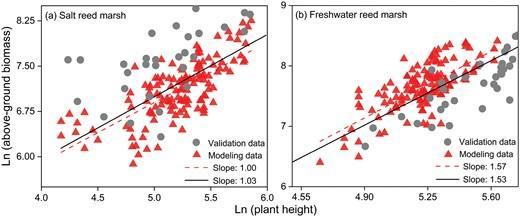 Verification of selected AGB estimate model with plant height alone as predictor variable by comparing it and a new model with literature data on larger scale added.