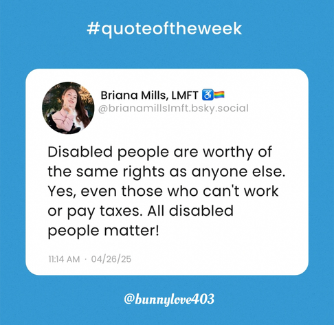 Skeet written by @brianamillslmft.bsky.social that reads: “Disabled people are worthy of the same rights as anyone else. Yes, even those who can't work or pay taxes. All disabled people matter!”
