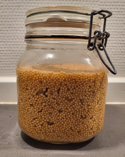 Jar with air bubbles trapped between the mustard seeds.