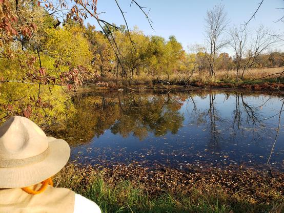 Ranger Sarah looks at a pond that makes up part of the wetlands at Marais Des Cygnes National Wildlife Refuge.
— at Marais des Cygnes National Wildlife Refuge.
