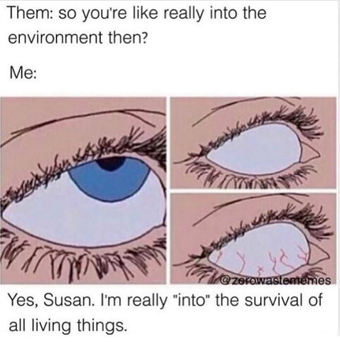 Them: so you're like really into the environment then?
Me: (drawing of a closeup of an eye slowly rolling back into the speaker's head) Yes, Susan, I'm really "into" the survival of all living things.
