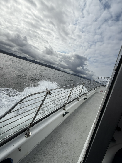 A view from a charter fishing boat looking back at shore while cutting through waves.