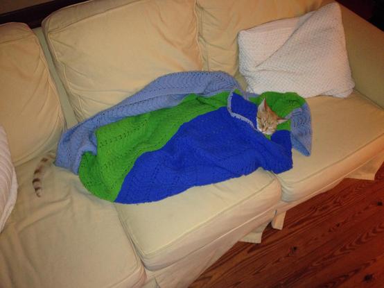 Sibby, a ginger Tabby, stretches out under her blue/green blankey on the couch