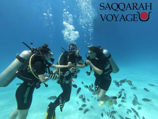 https://saqqarah-voyage.fr/decouvrez-sahl-hasheesh-excursions-plongee-et-aventures-inoubliables/