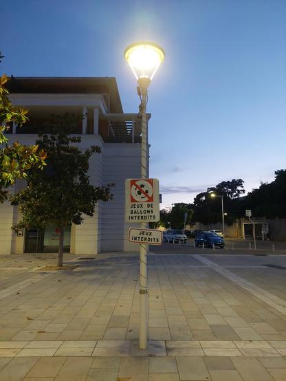 Photo d'un lampadaire sur un square avec deux panneaux. Le premier dit "jeux de ballons interdits" et le deuxième, clairement rajouté plus tard, dit simplement "jeux interdits"