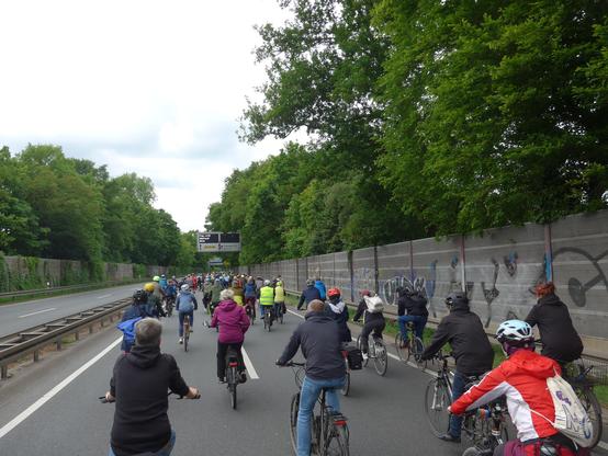 Viele Fahrradfahrer auf einer zweispurigen Bundesstraße