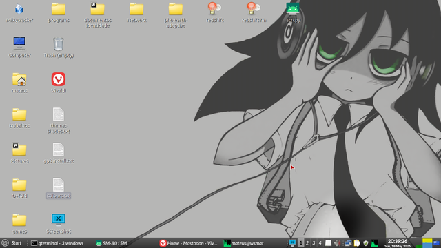 a desktop screenshot with tomoko as the wallpaper