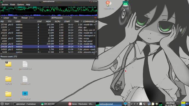 screenshot with qps (process manager)