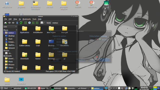 screenshot with file manager opened
