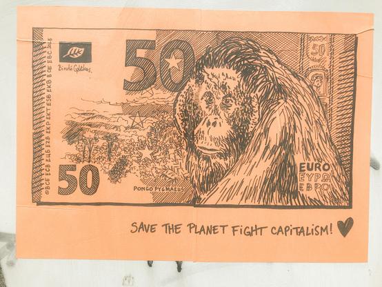 50€, Orang-Outan