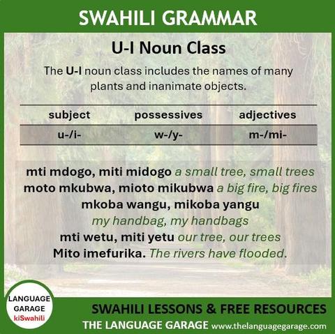 Swahili U-I Noun Class overview, image of trees