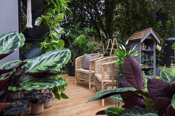The Sensory Retreat - lush foliage and rattan chairs