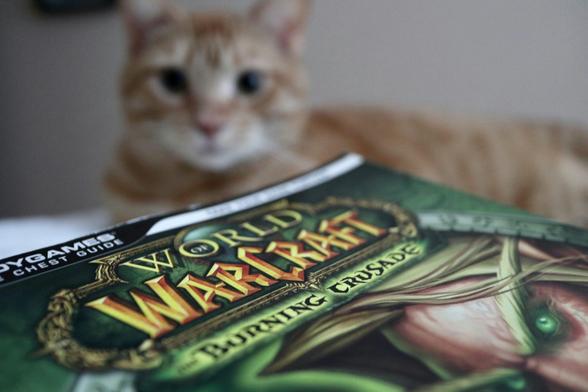 World of WarCraft Burning Crusade in foreground with a cute cat in the background