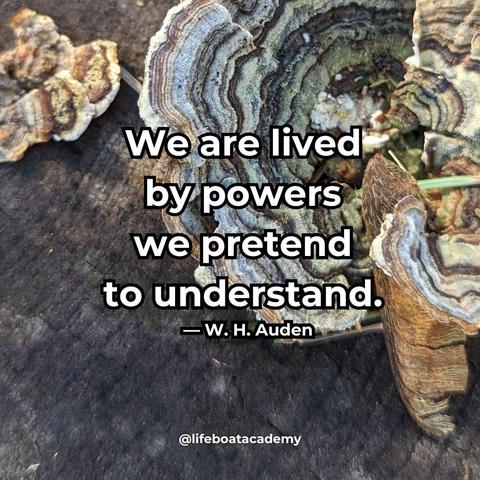 A social post from @lifeboatacademy which says: "We are lived by powers we pretend to understand." - W.H. Auden