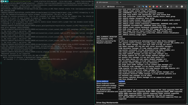Split screen Sway workspace showing: Google Chrome running with native Wayland window decorations (right), Terminal command line arguments that launched Google Chrome with --ozone-platform-hint=wayland and GPU VAAPI support (left).