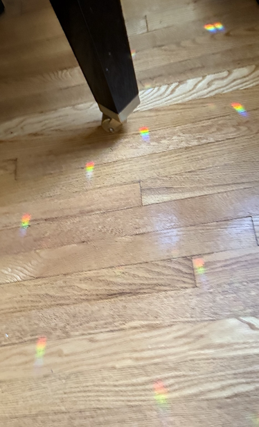 Small rainbow patterns scattered around a hardwood floor