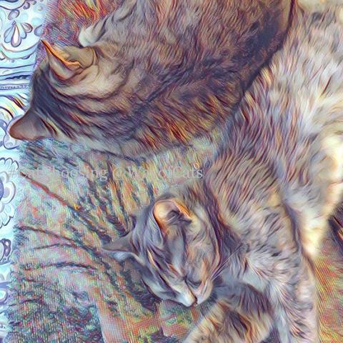 A brown tabby adult cat, back to back with a dilute tortoiseshell kitten, sprawls on a folded blanket on a bedspread, color softened with a watercolor filter, illustrating Pick by Coat Color.