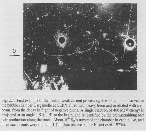 cooperative learning: the famous first example of a leptonic weak neutral current. Black and white Gargamelle bubble chamber photograph showing muon neutrino interacting with an electron.