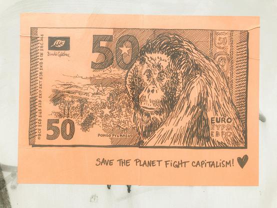 50€, Orang-Outan