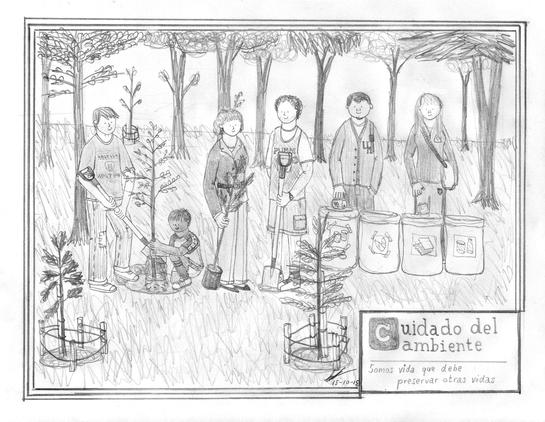 personas plantando árboles