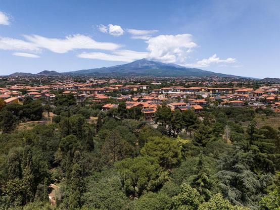 #sicilia #sicily #happyisland #isolafelice #italy 
#GiardinoSullaLava #Catania #EttorePaternòDelToscano #ParcoVisionario #GiardiniItaliani #CataniaExperience #Sostenibilità #ParchiItaliani #LavaGarden  #ArchitetturaItaliana #BellezzeNascoste #EccellenzeItaliane 
#VisionaryPark #ItalianGardens#Sustainability #ItalianParks #ItalianArchitecture #HiddenBeauties #ItalianExcellence