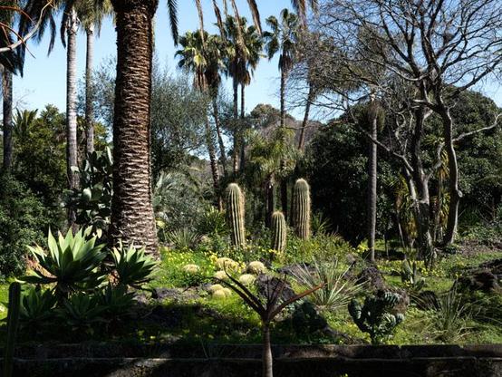 #sicilia #sicily #happyisland #isolafelice #italy 
#GiardinoSullaLava #Catania #EttorePaternòDelToscano #ParcoVisionario #GiardiniItaliani #CataniaExperience #Sostenibilità #ParchiItaliani #LavaGarden  #ArchitetturaItaliana #BellezzeNascoste #EccellenzeItaliane 
#VisionaryPark #ItalianGardens#Sustainability #ItalianParks #ItalianArchitecture #HiddenBeauties #ItalianExcellence
