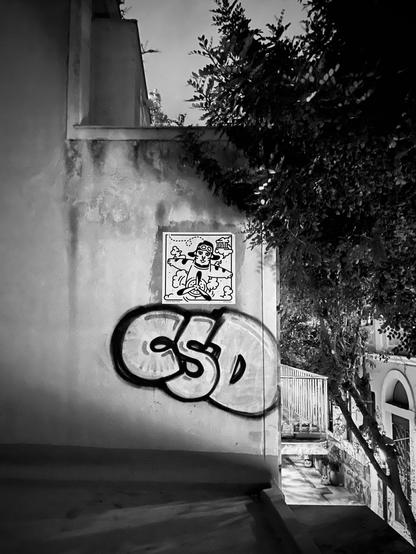 Black and white image of a rooftop wall featuring a "CSD" graffiti bombing, with a street art paste-up above. The paste-up shows a tiger in an airplane wearing a helmet, with the iconic Greek Olymp on top of the clouds. Trees and a railing are visible nearby.