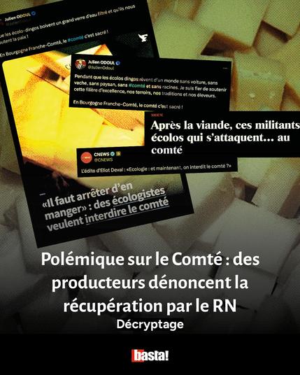 Capture de tweets d'élus du RN et de médias qui véhiculent l'idée que les écologistes veulent interdire le comté pour alimenter la polémique. Des producteurs dénoncent la récupération par le RN