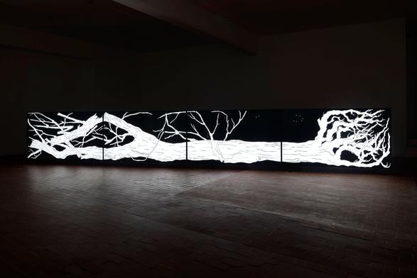 Özgür Kar, Fallen Tree (still) 2023 © courtesy the artist