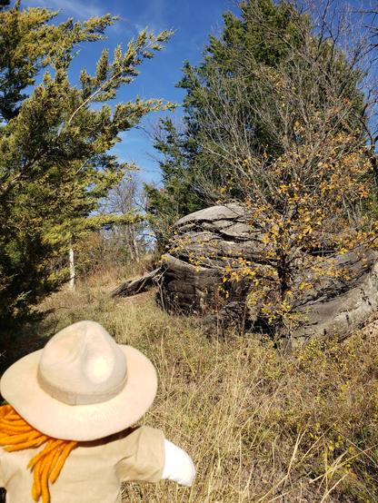 Ranger Sarah moves into the trees to see what rocks she can find. The mushroom rocks are "one of the eight wonders of Kansas geography."
— at Mushroom Rock State Park.
