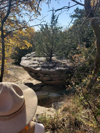 Ranger Sarah notices that a tree is growing out of the top of one of the rocks.
— at Mushroom Rock State Park.
