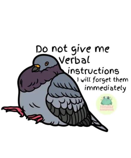 a pigeon
do not give me verbal instructions I will forget them immediately