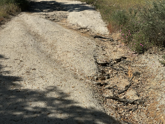 Road with a trail of a water stream 