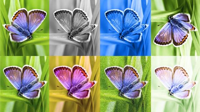 Spot AI-Made Content Easily with Google's New Portal.