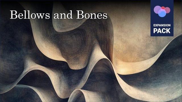 Imaginando Bellows and Bones