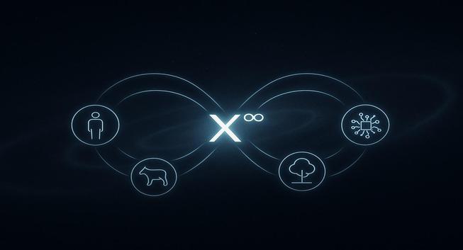 Ever thought about Newton's third law (actio => reactio) beyond physics?