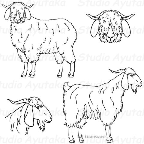 a set of cliparts of Angora goat and Cashmere goat.