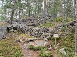 The wall of the hillfort across a path in a pine forest