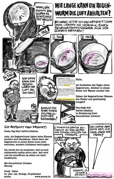 Wie lange kann ein Regenwurm die Luft anhalten?
Eine Bildergeschichte nach einem wahren Erlebnis
Bild 1:
Erster Tag. Bei Gartenarbeiten entdecke ich einen Wurm in einem Eimer mit Wasser. Ich frage mich, wie kommt Wurm in Eimer?
Bild 2:
Zweiter Tag. Wurm ist immer noch unter Wasser im Eimer.
Bild 3:
Wurm ist immer noch im Eimer unter Wasser.
Bild 4:
Ich frage mich, wie lange ein Regenwurm die Luft anhalten kann.
Bild 5:
Ich sitze am Computer und freue mich, dass ich einen Wurmexperten gefunden habe. Es ist Wormly aus der Schweiz.
Bild 6:
 Text meiner E-Mail mit der Frage, ob Regenwürmer Kiemen und Lungen haben.
Bild 7:
Antwort von Wormly. Ich muss mich belehren lassen. Regenwürmer sind Hautatmer und können auch unter Wasser atmen. Allerdings soll ich den Wurm so schnell wie möglich befreien, denn er findet im Eimer keine Nahrung und wird verhungern. Freundliche Grüße Wormly (Fredy Vetter, lic. phil. Nat. Projektleiter ecovia CH).
Bild 8 und 9:
Ich befreie den Wurm und entschuldige mich bei ihm. Der Wurm sagt auf dem letzten Bild, dass es höchste Zeit war, denn ihm ging schon die Muffe..
